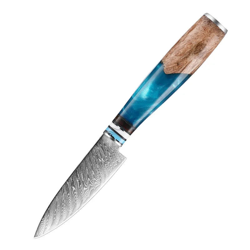 Professional Kitchen Knives Chef Japanese 67 Layers Damascus Knife Set with Resin Handle