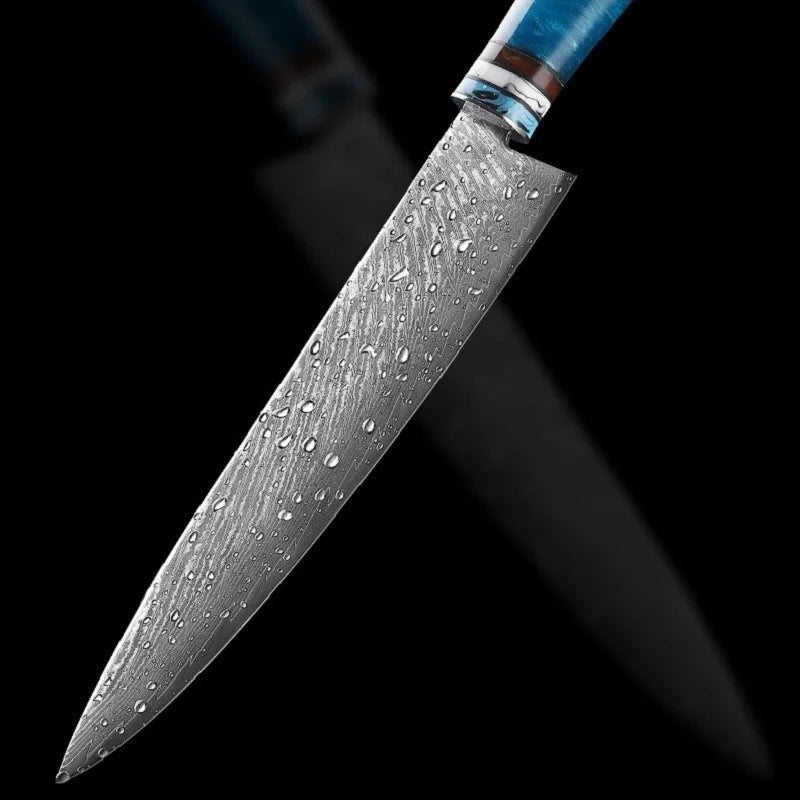 Professional Kitchen Knives Chef Japanese 67 Layers Damascus Knife Set with Resin Handle