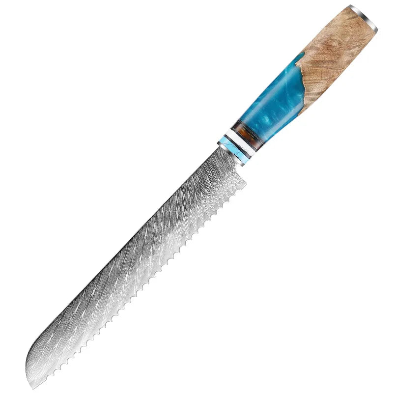 Professional Kitchen Knives Chef Japanese 67 Layers Damascus Knife Set with Resin Handle