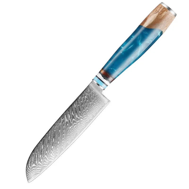 Professional Kitchen Knives Chef Japanese 67 Layers Damascus Knife Set with Resin Handle