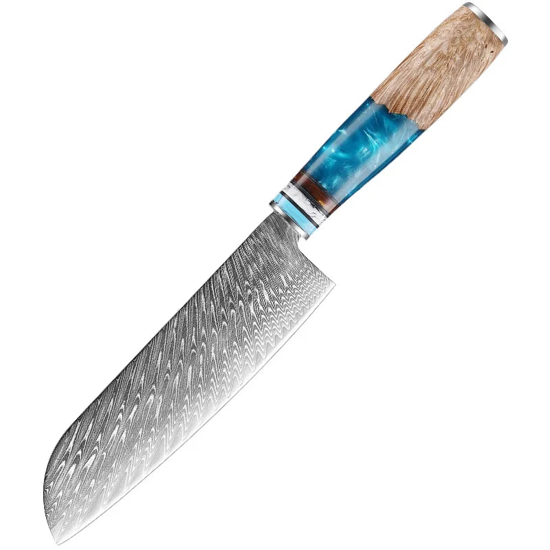 Professional Kitchen Knives Chef Japanese 67 Layers Damascus Knife Set with Resin Handle