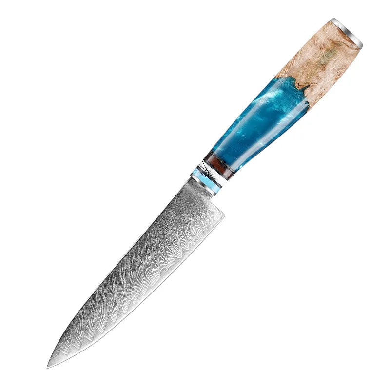 Professional Kitchen Knives Chef Japanese 67 Layers Damascus Knife Set with Resin Handle