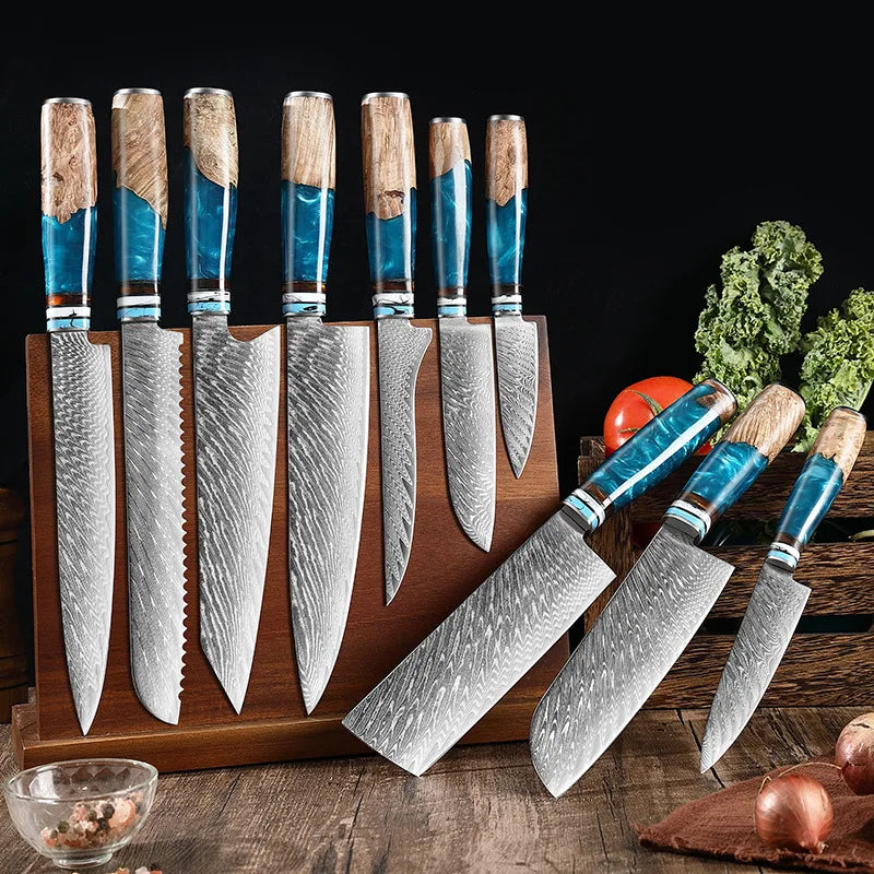 Professional Kitchen Knives Chef Japanese 67 Layers Damascus Knife Set with Resin Handle