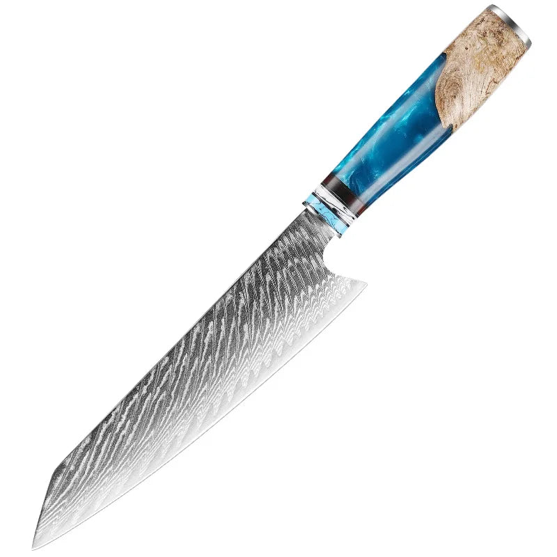 Professional Kitchen Knives Chef Japanese 67 Layers Damascus Knife Set with Resin Handle